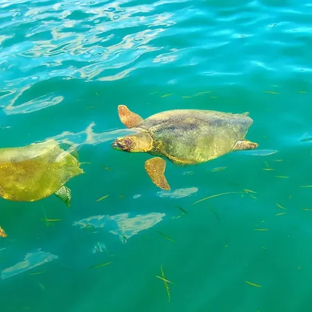 Polytropon Ground Floor * Kástron