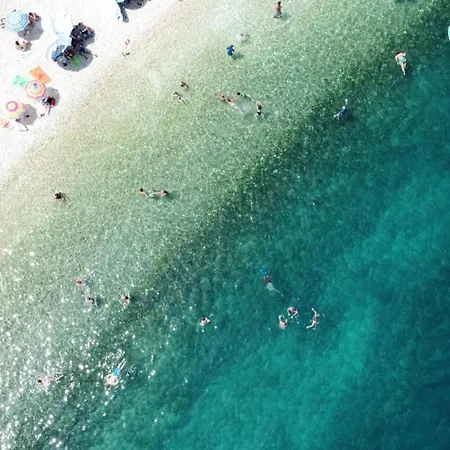 Polytropon Ground Floor