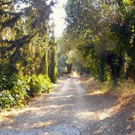 Polytropon Ground Floor Kásztro
