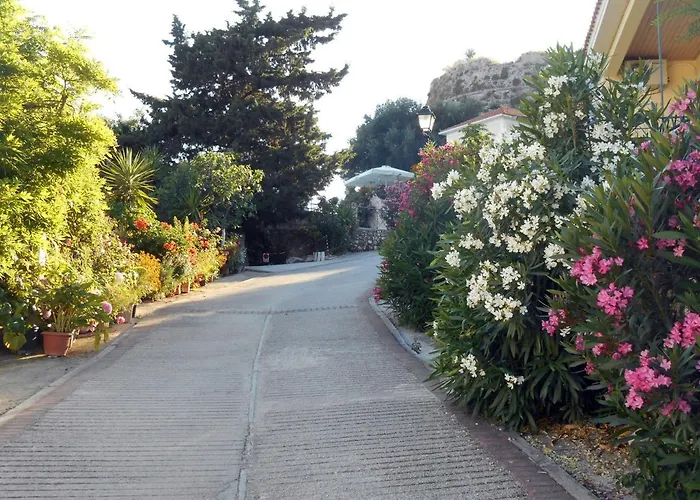 Polytropon Ground Floor *