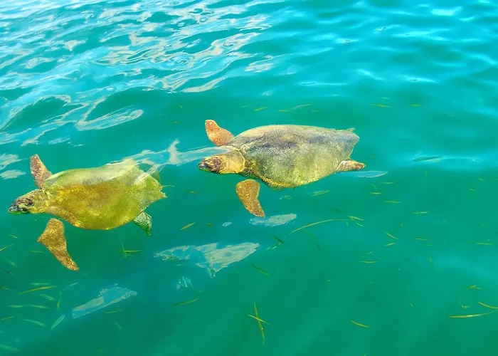 Polytropon Ground Floor * Kástron