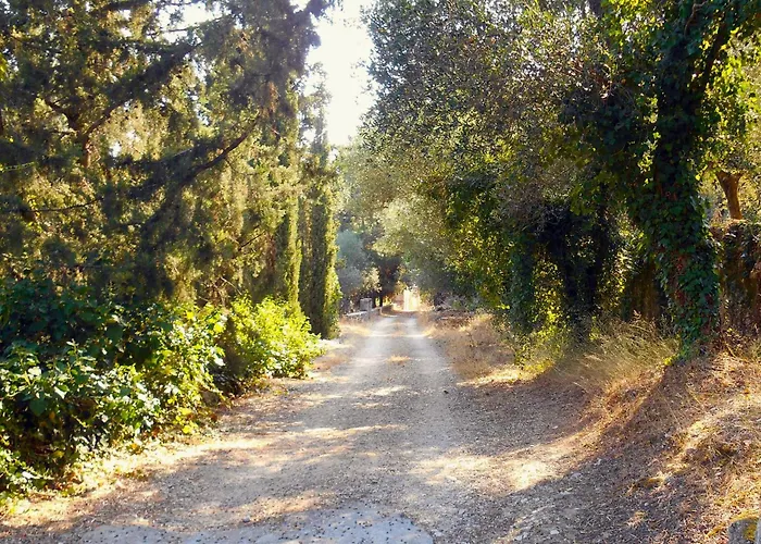 Polytropon Ground Floor Kástron